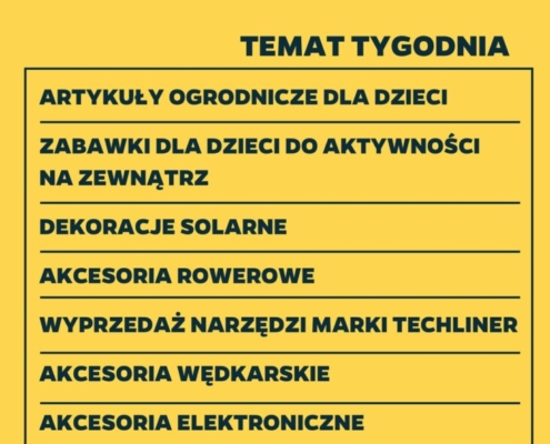 Gazetka NETTO od 04.05.2023 do 10.05.2023 - non food