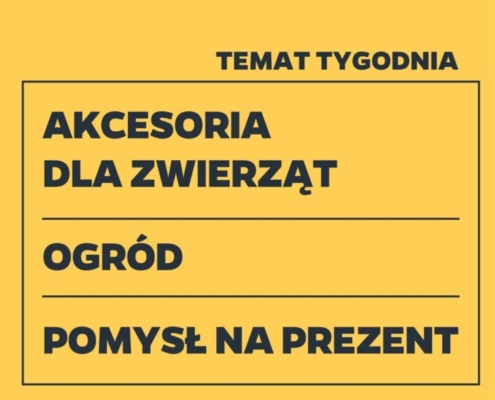 Gazetka NETTO od 22.06.2023 do 28.06.2023 - non food