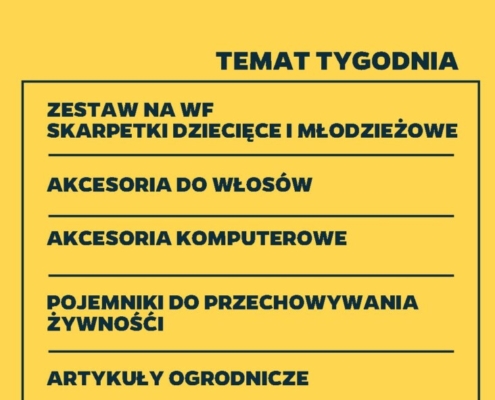 Gazetka NETTO od 03.08.2023 do 10.08.2023 - non food