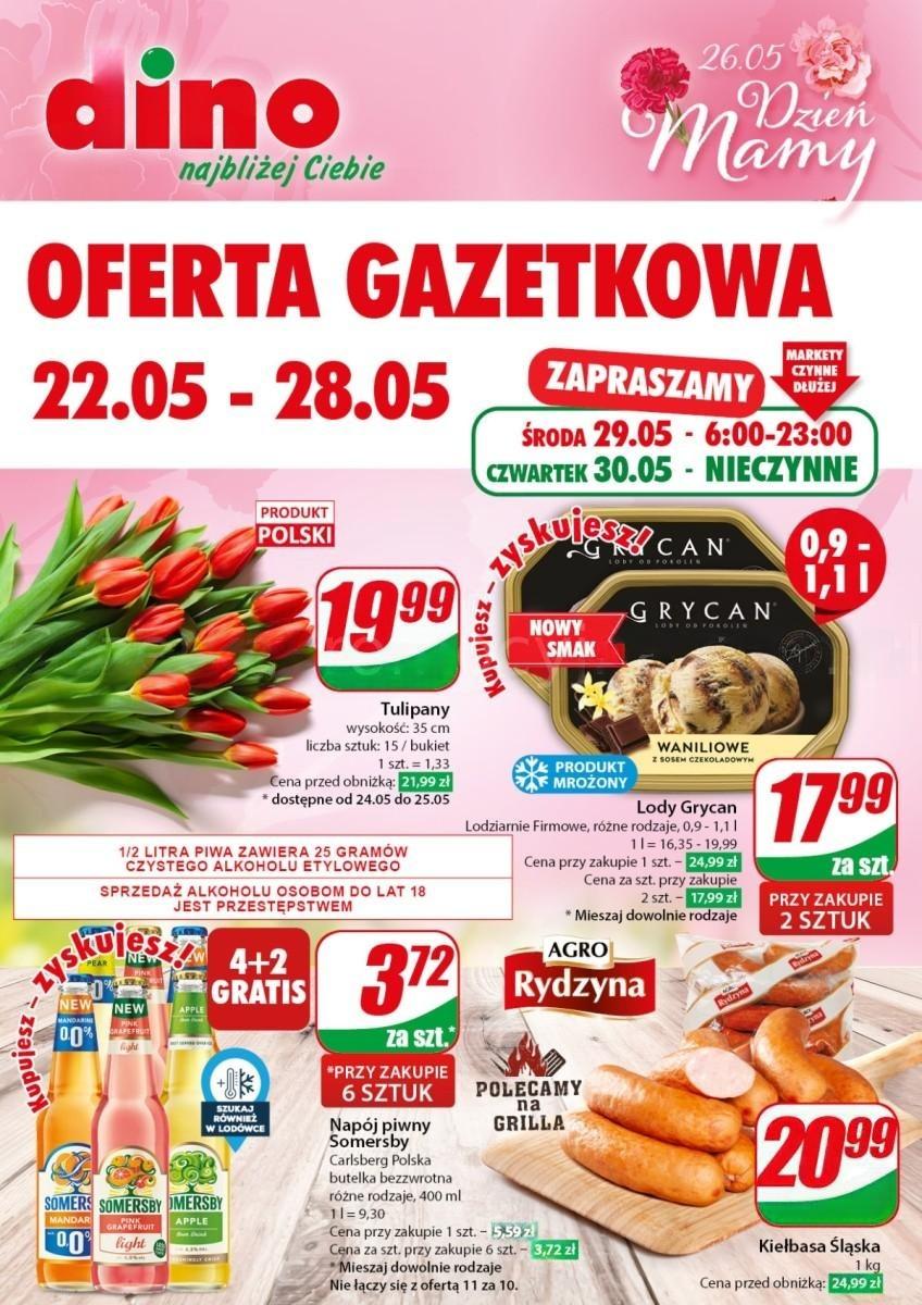 Gazetka DINO od 22.05.2024 do 28.05.2024