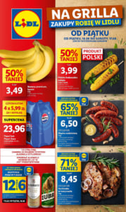 Gazetka LIDL od 16.08.2024 do 17.08.2024