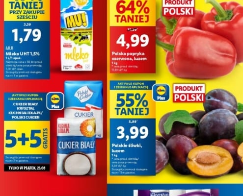 Gazetka LIDL od 22.08.2024 do 25.08.2024