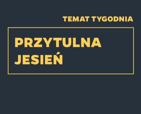 Gazetka NETTO od 28.10.2024 do 02.11.2024 - non food