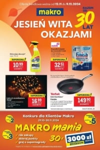 Gazetka MAKRO od 12.11.2024 do 09.12.2024