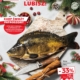 Kaufland Gazetka od 12.12.2024 do 18.12.2024