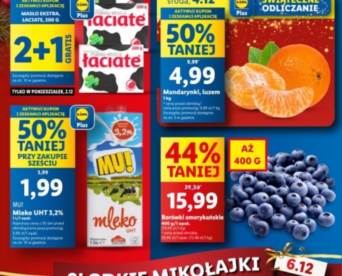 Gazetka LIDL od 02.12.2024 do 04.12.2024