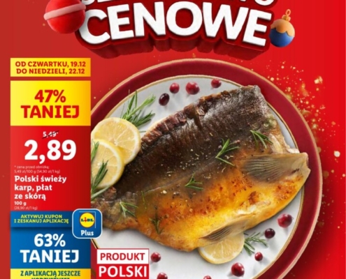 Gazetka LIDL od 19.12.2024 do 22.12.2024