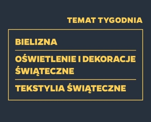 Gazetka NETTO od 16.12.2024 do 22.12.2024 - non food