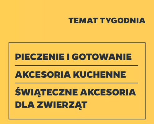 Gazetka NETTO od 05.12.2024 do 11.12.2024 - non food