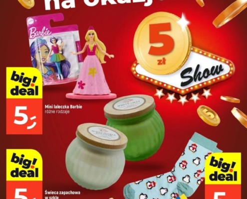 Gazetka Dealz od 13.01.2025 do 18.01.2025