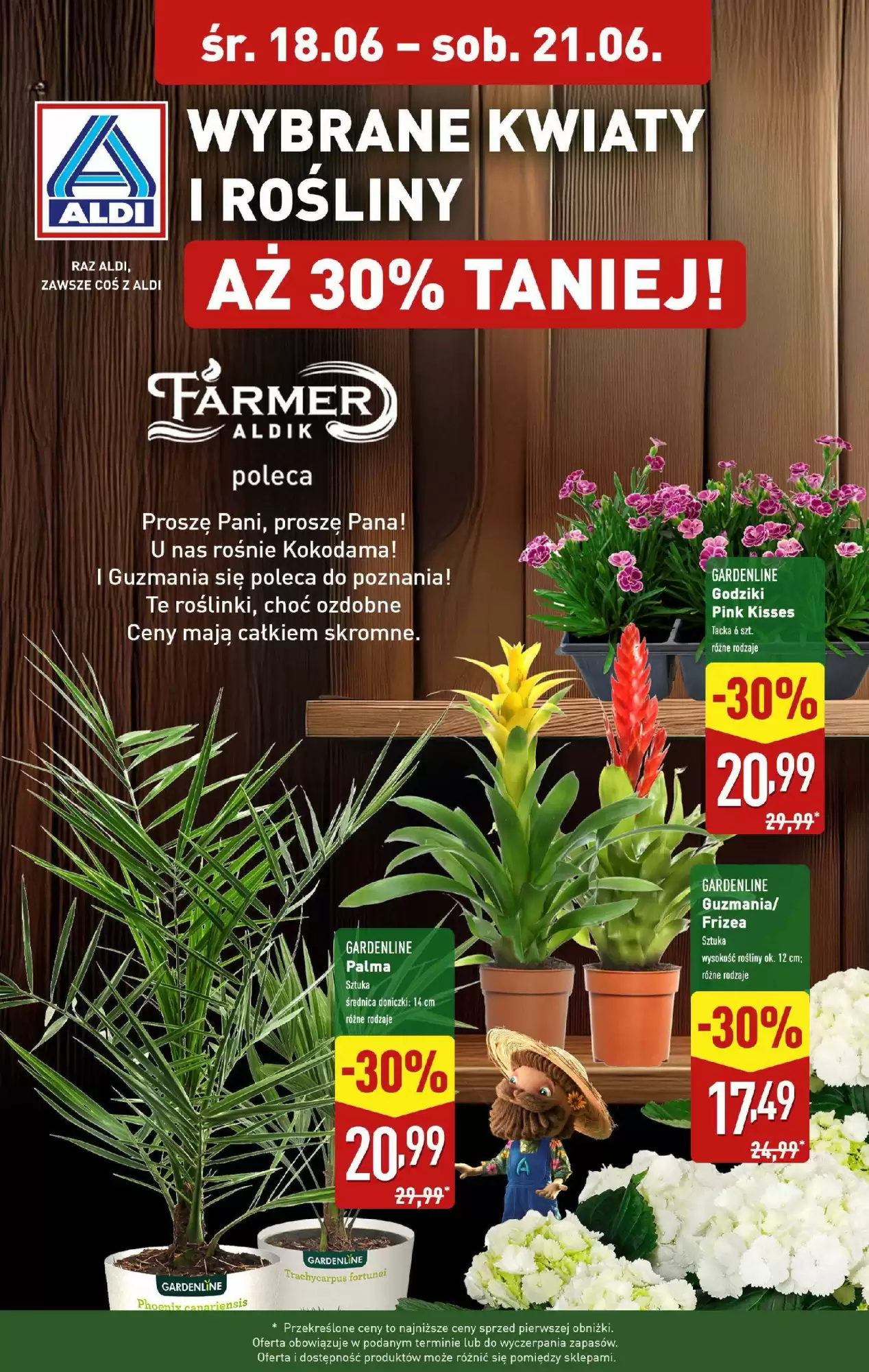 Aldi Gazetka 18.06.2025 - 21.06.2025