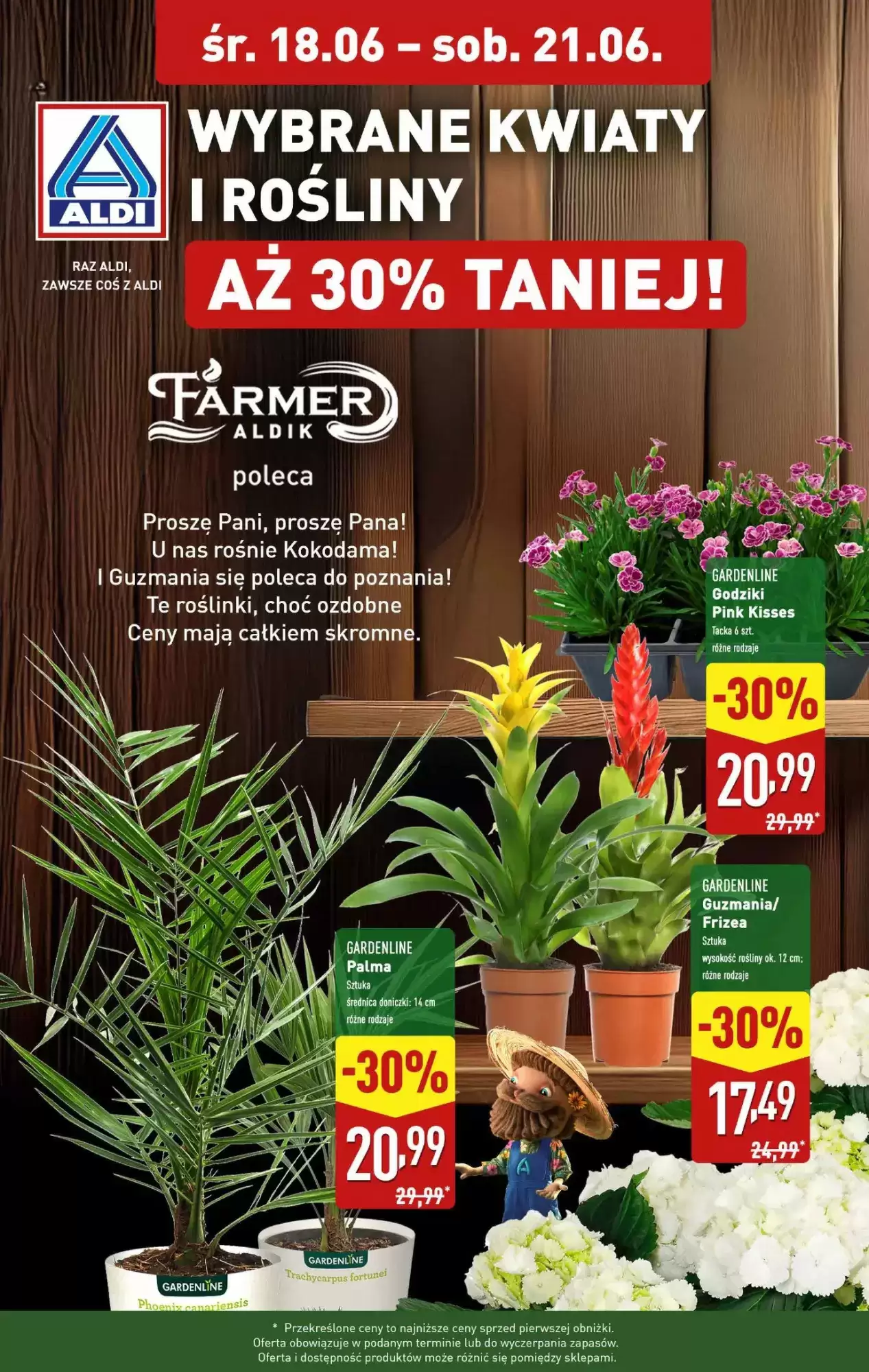 Aldi Gazetka 18.06.2025 - 21.06.2025