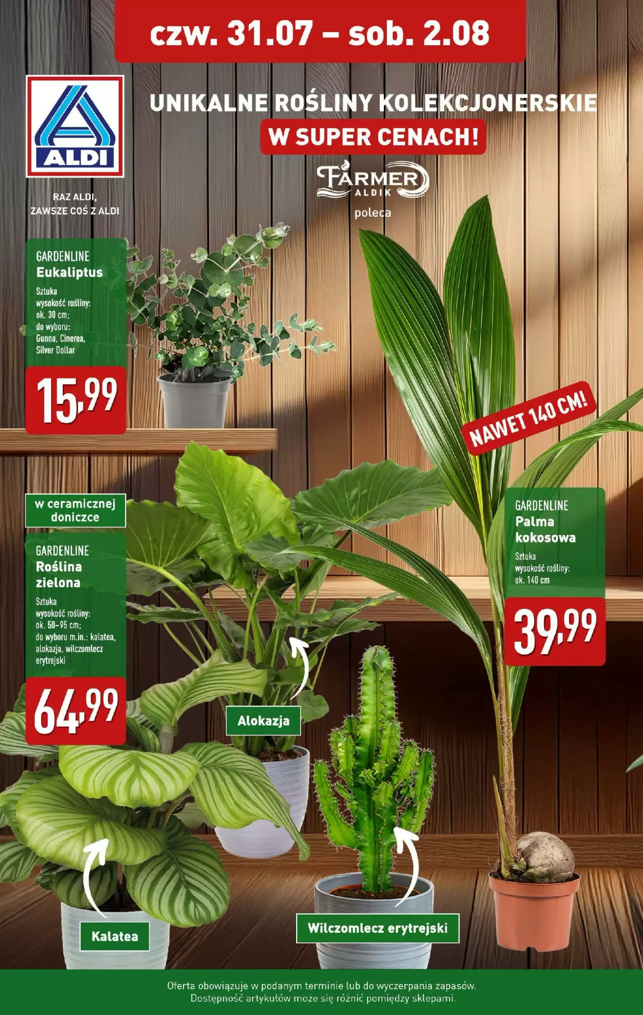 Aldi Gazetka 31.07.2025 - 02.08.2025