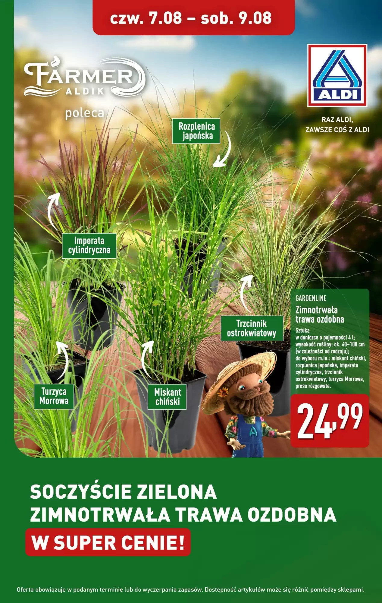Aldi Gazetka 07.08.2025 - 09.08.2025