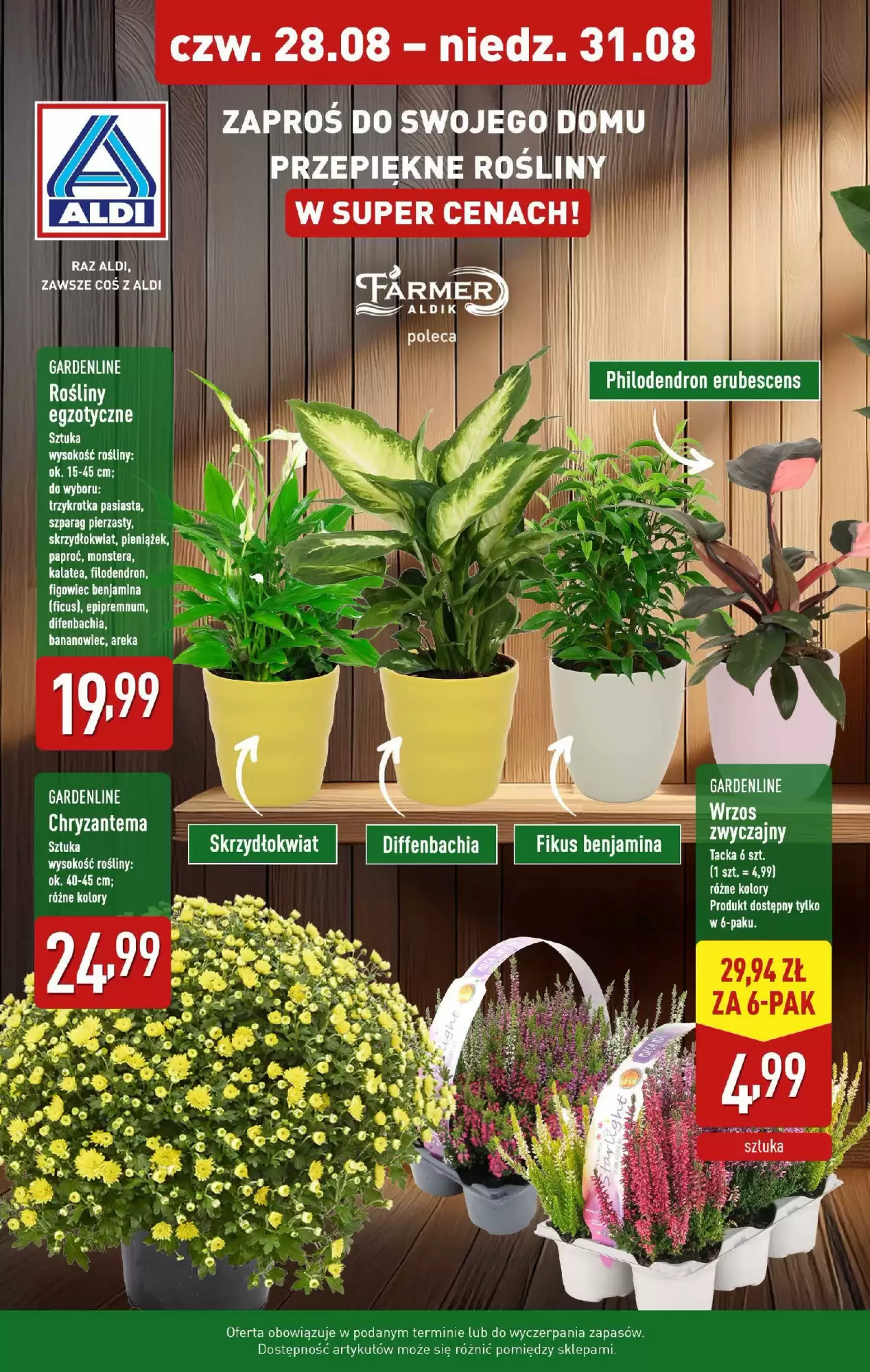 Aldi Gazetka 28.08.2025 - 31.08.2025