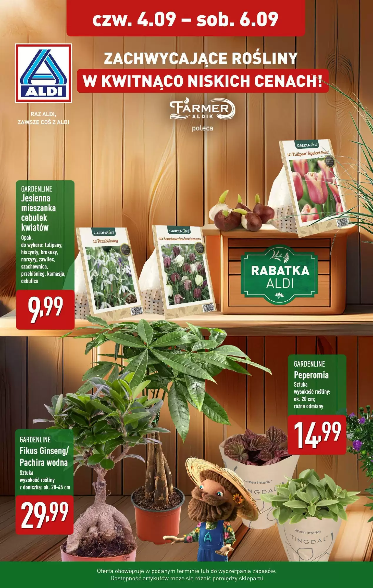 Aldi Gazetka 04.09.2025 - 06.09.2025