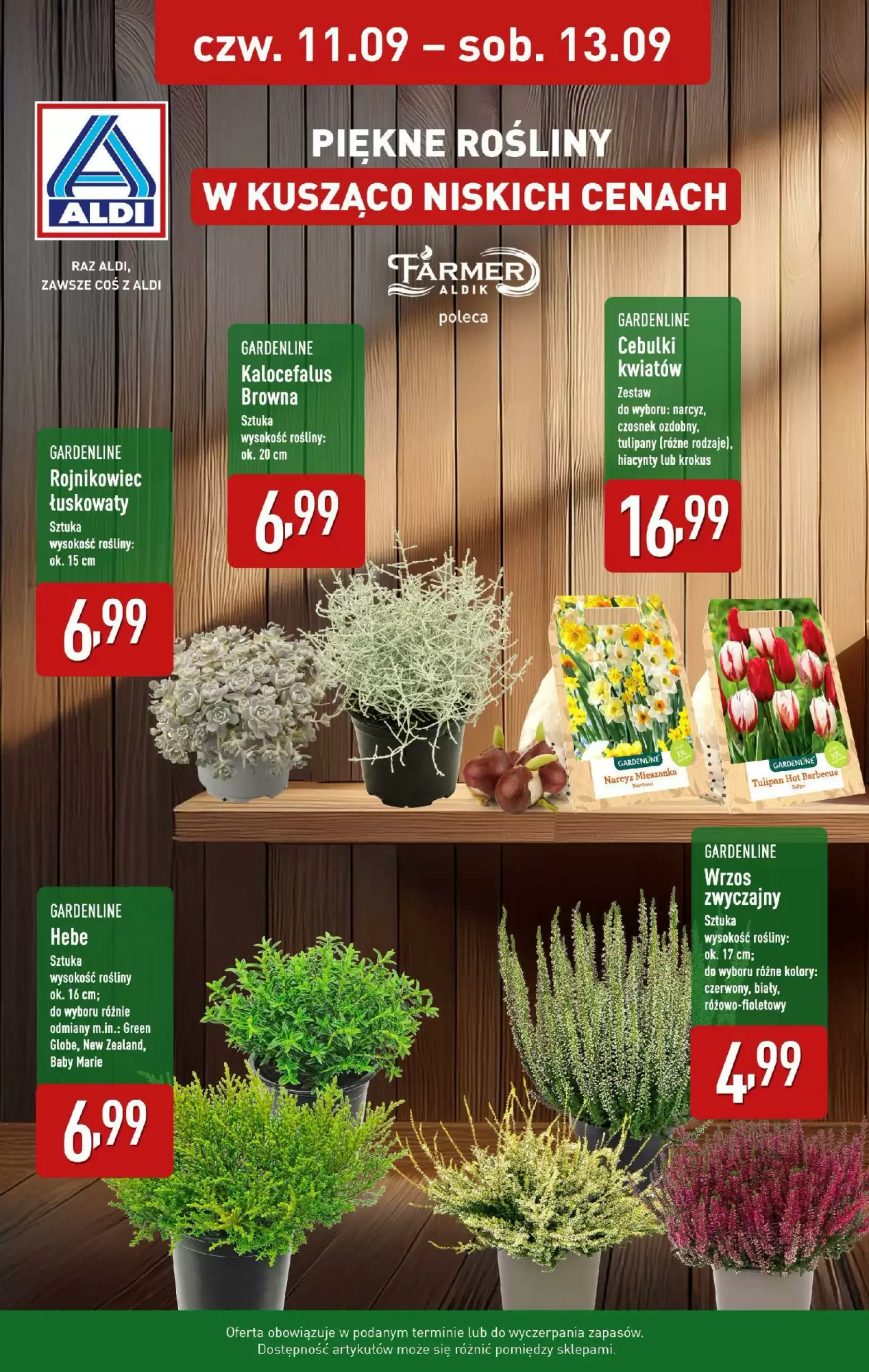 Aldi Gazetka 11.09.2025 - 13.09.2025