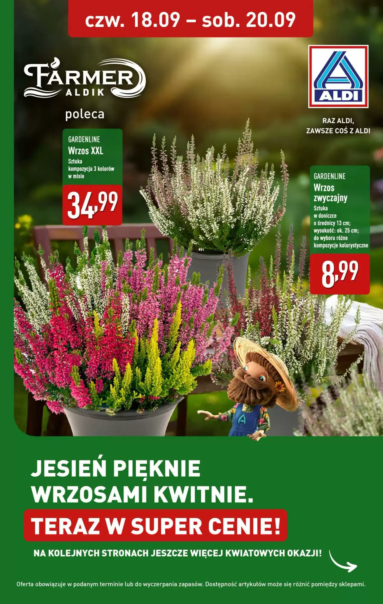Aldi Gazetka 18.09.2025 - 20.09.2025