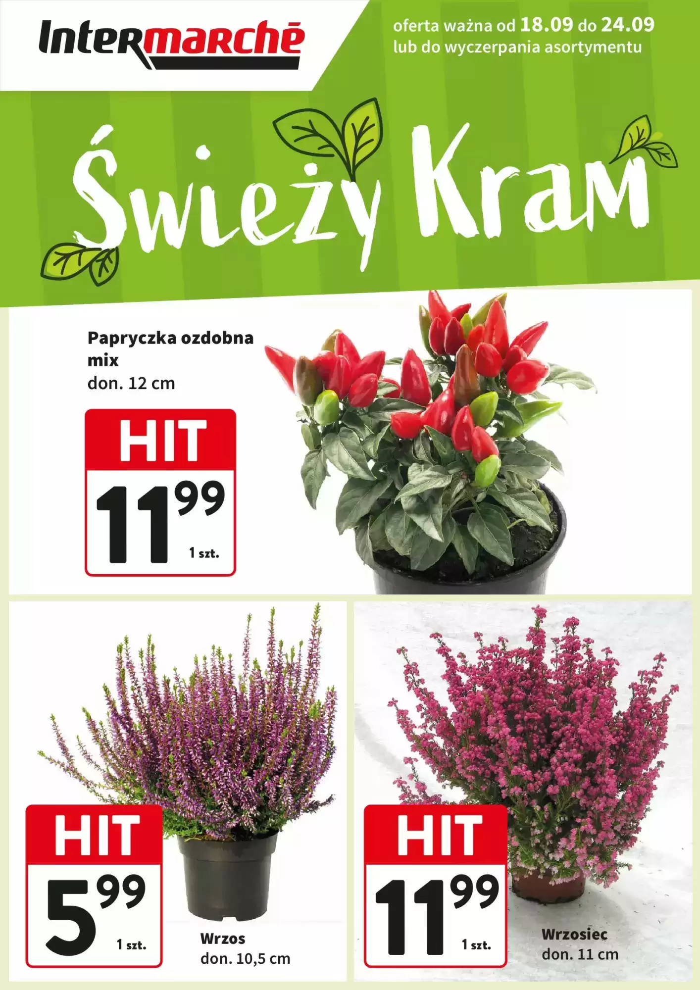Intermarche Gazetka 18.09.2025 - 24.09.2025