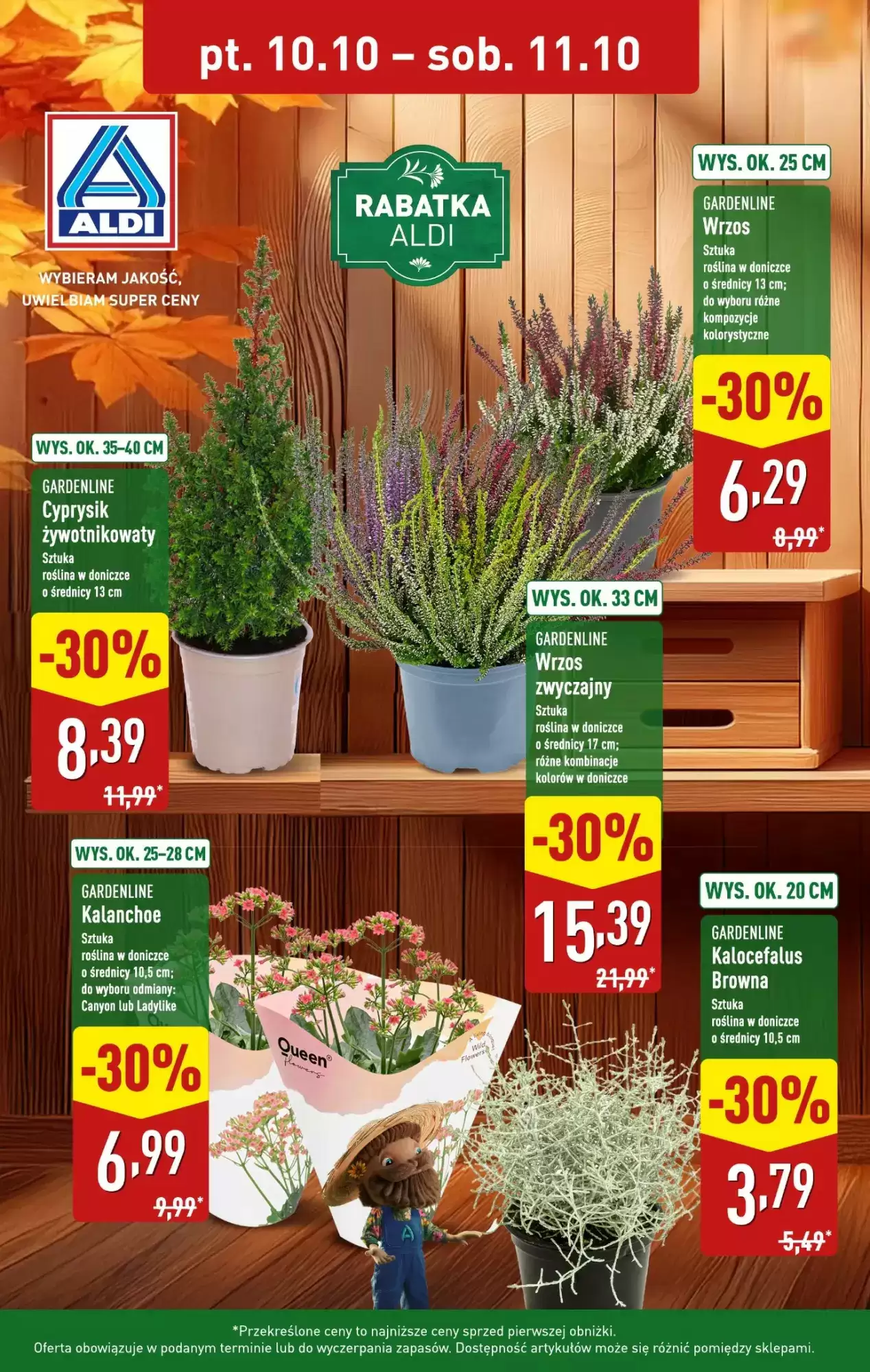 Aldi Gazetka 10.10.2025 - 11.10.2025