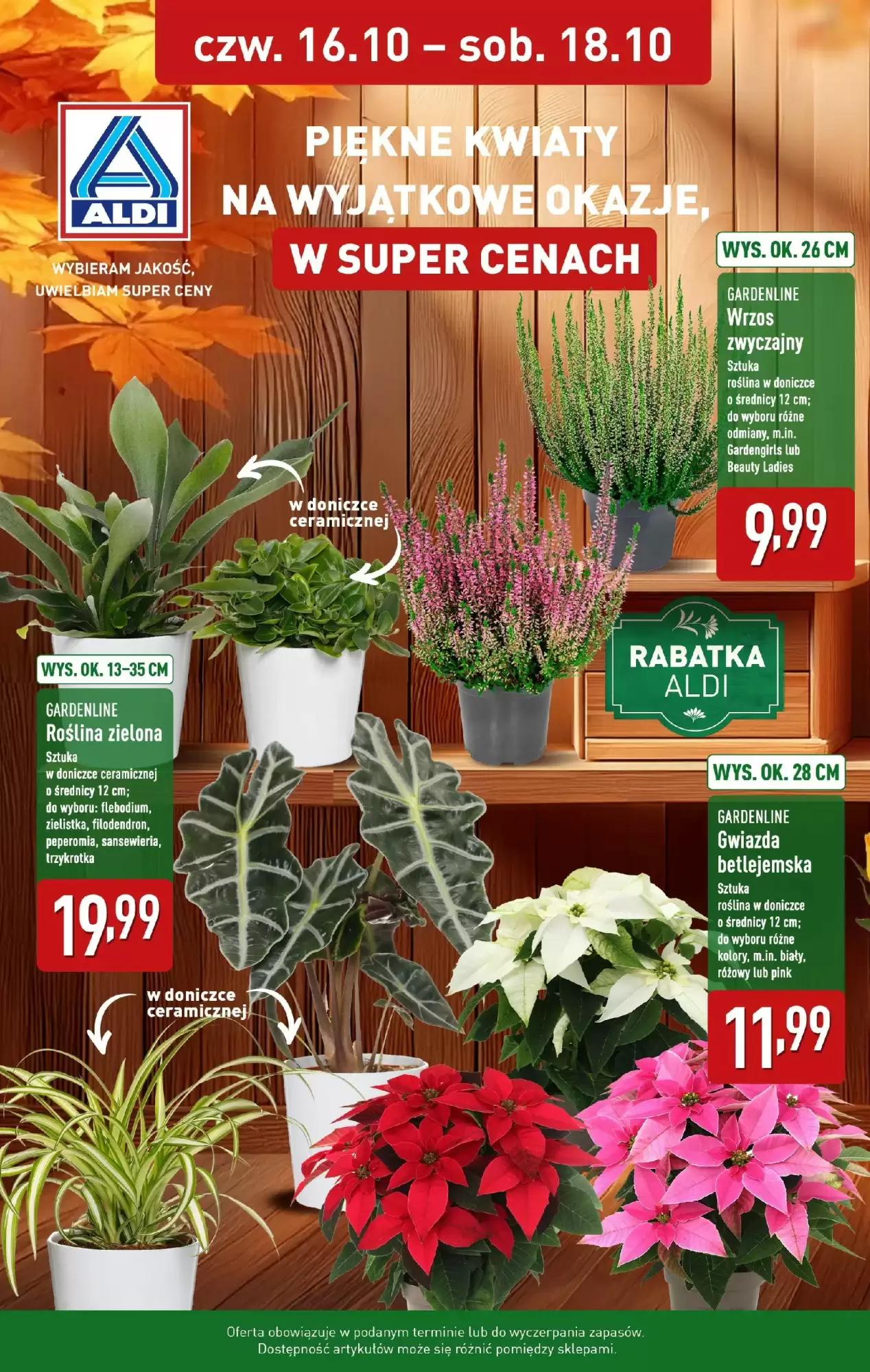 Aldi Gazetka 16.10.2025 - 18.10.2025