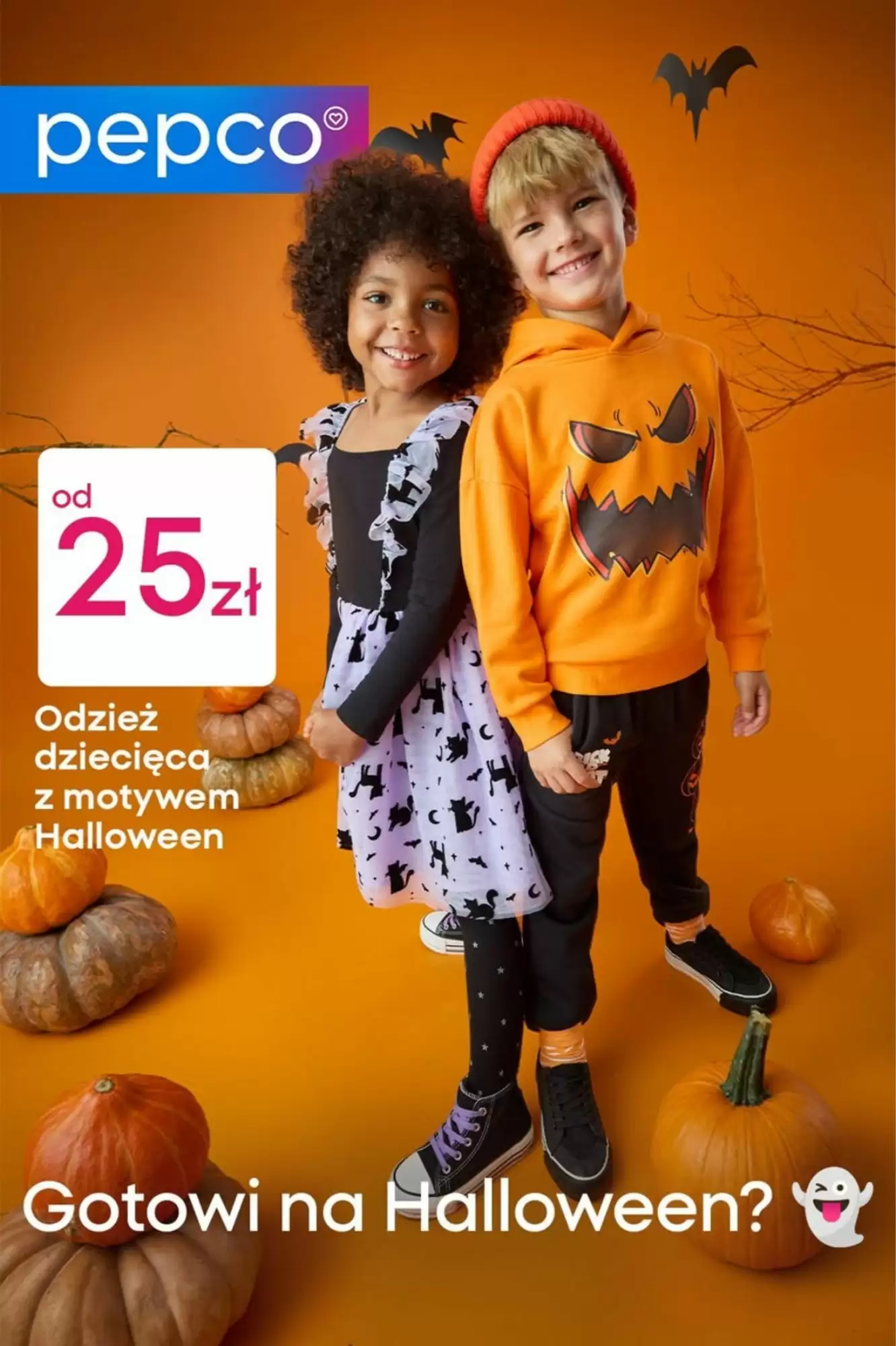 Pepco Gazetka 03.10.2025 - 10.10.2025
