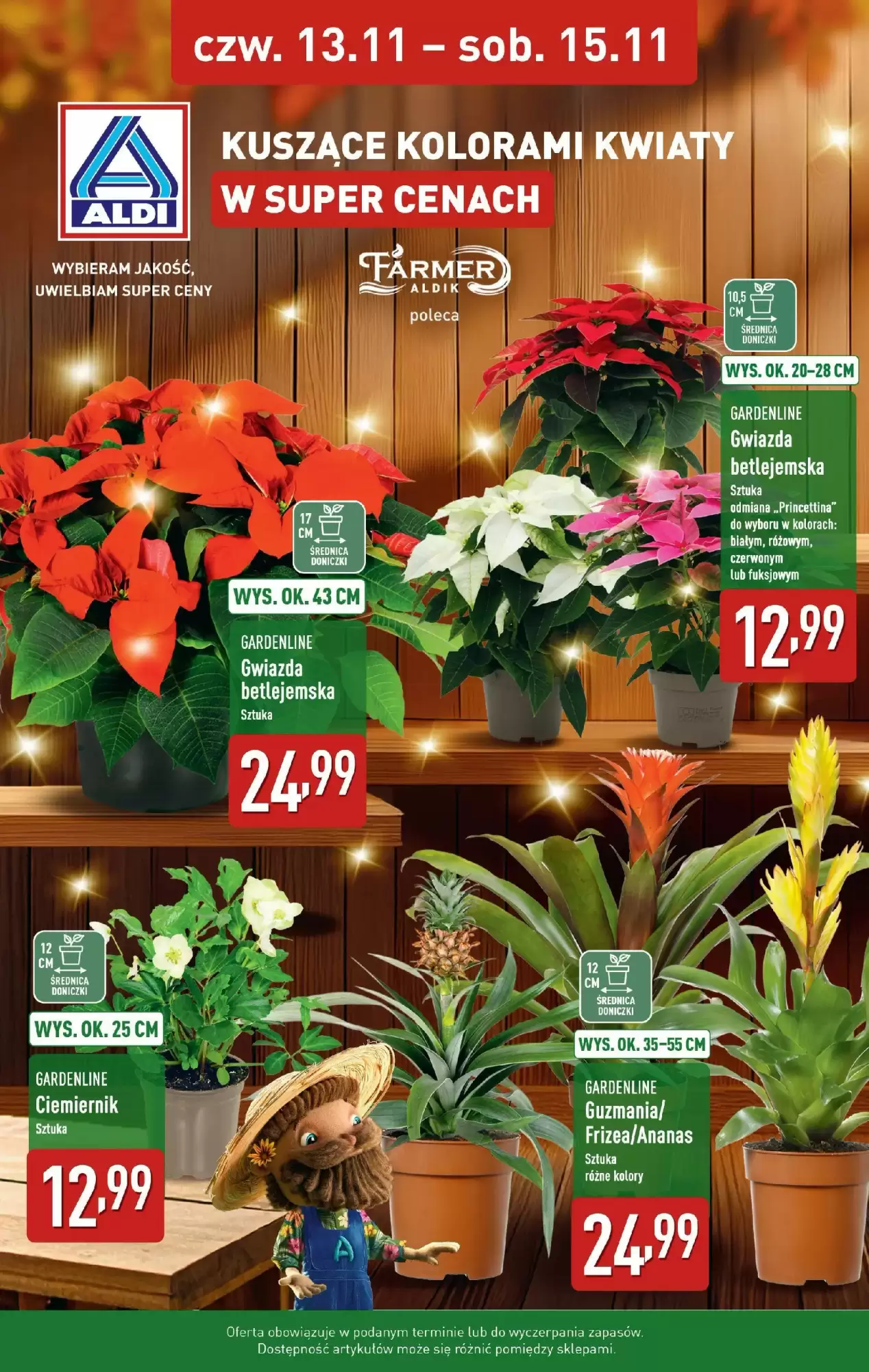 Aldi Gazetka 13.11.2025 - 15.11.2025