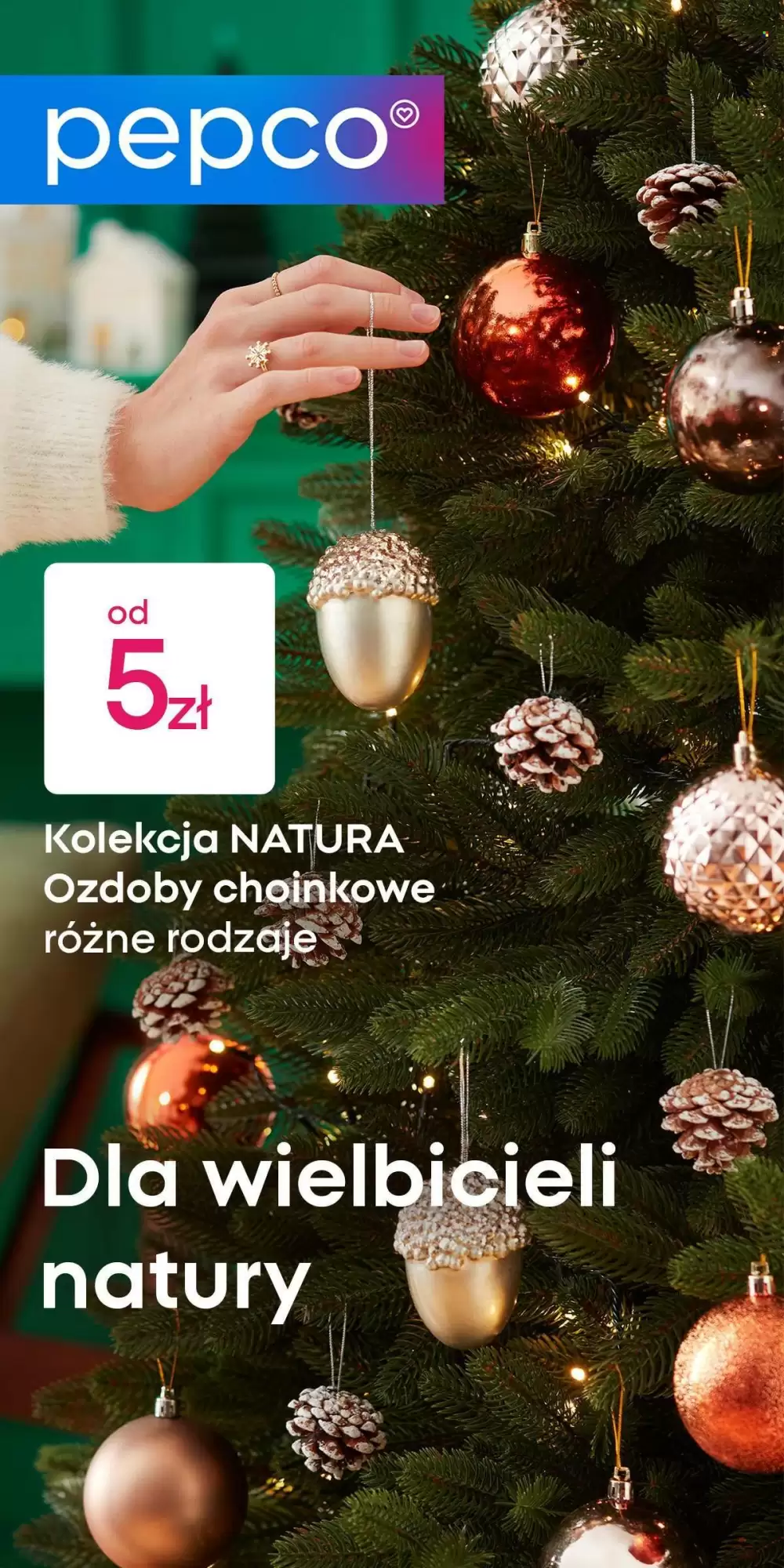 Pepco Gazetka 02.11.2025 - 10.11.2025