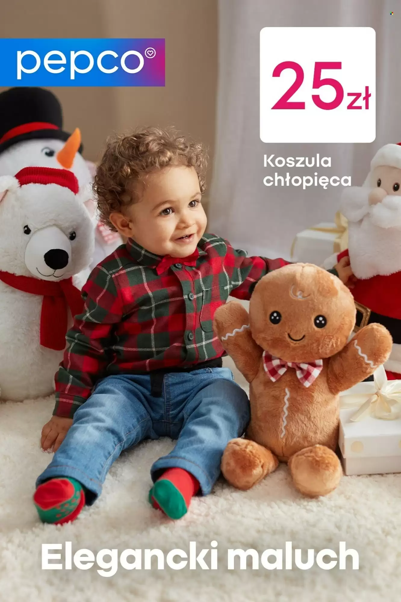 Pepco Gazetka 04.11.2025 - 12.11.2025