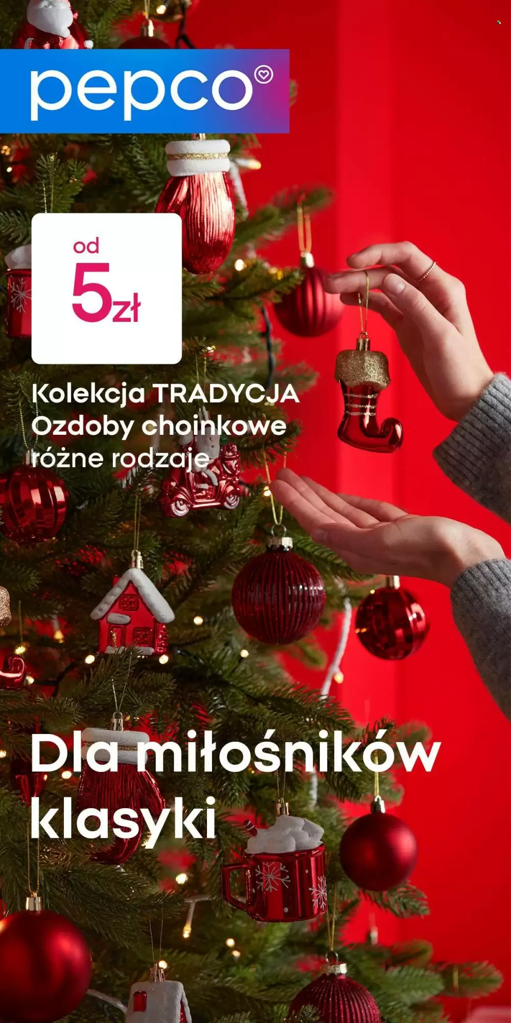 Pepco Gazetka 31.10.2025 - 08.11.2025