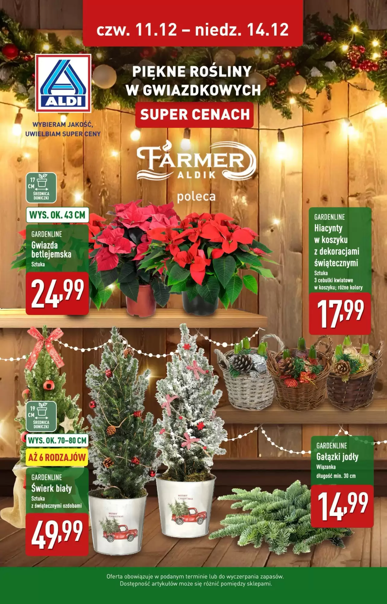 Aldi Gazetka 11.12.2025 - 14.12.2025