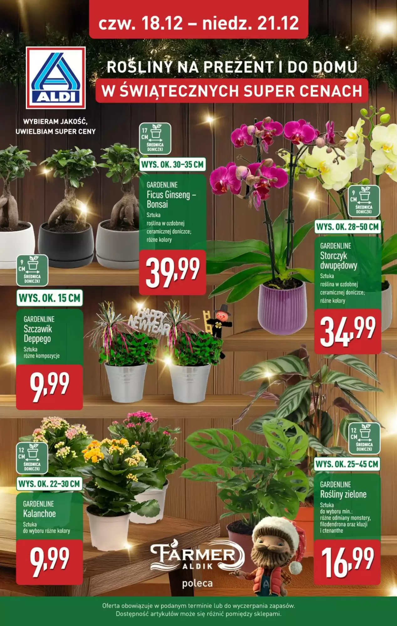 Aldi Gazetka 18.12.2025 - 21.12.2025