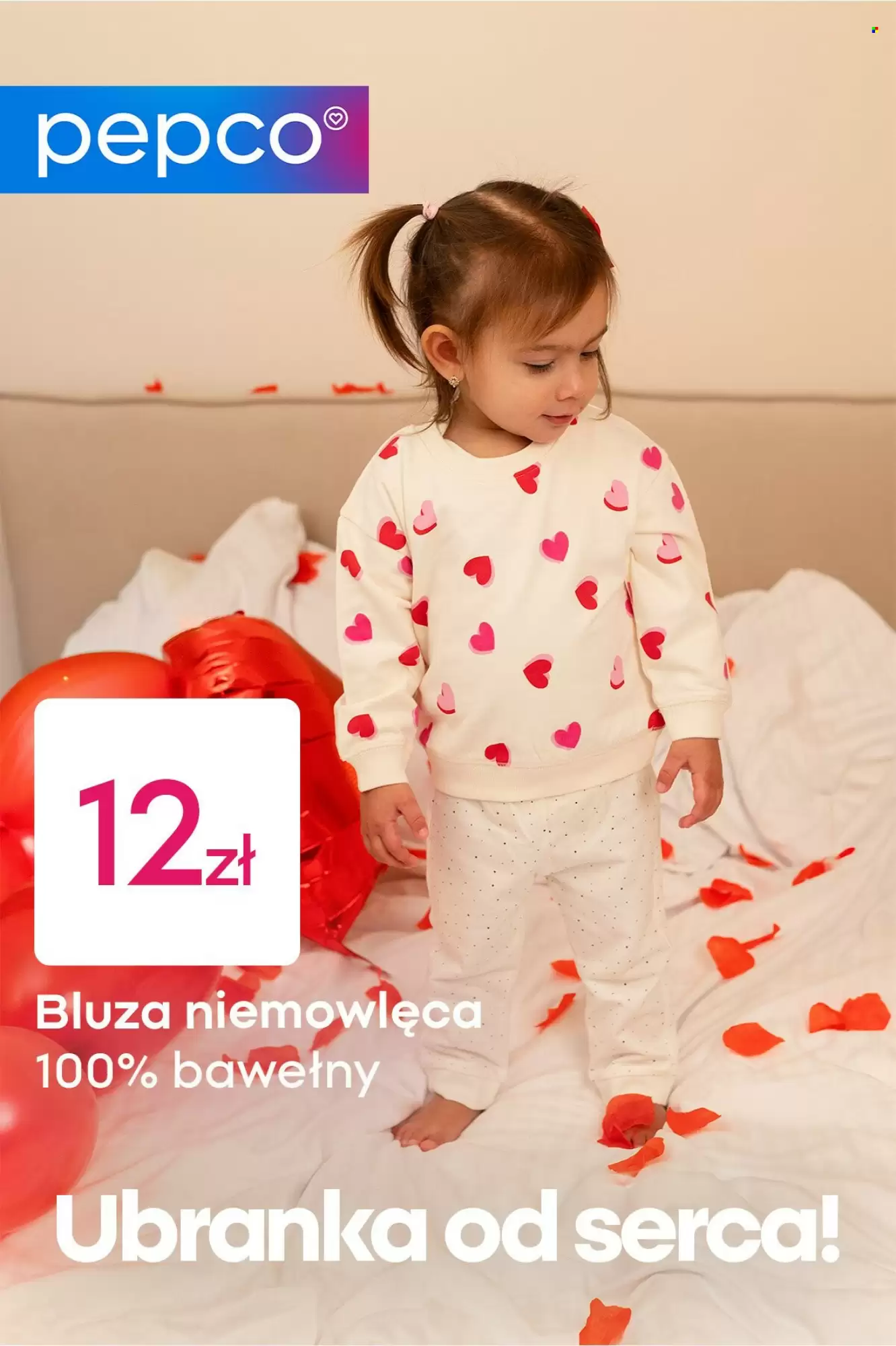 Pepco Gazetka 23.01.2026 - 31.01.2026