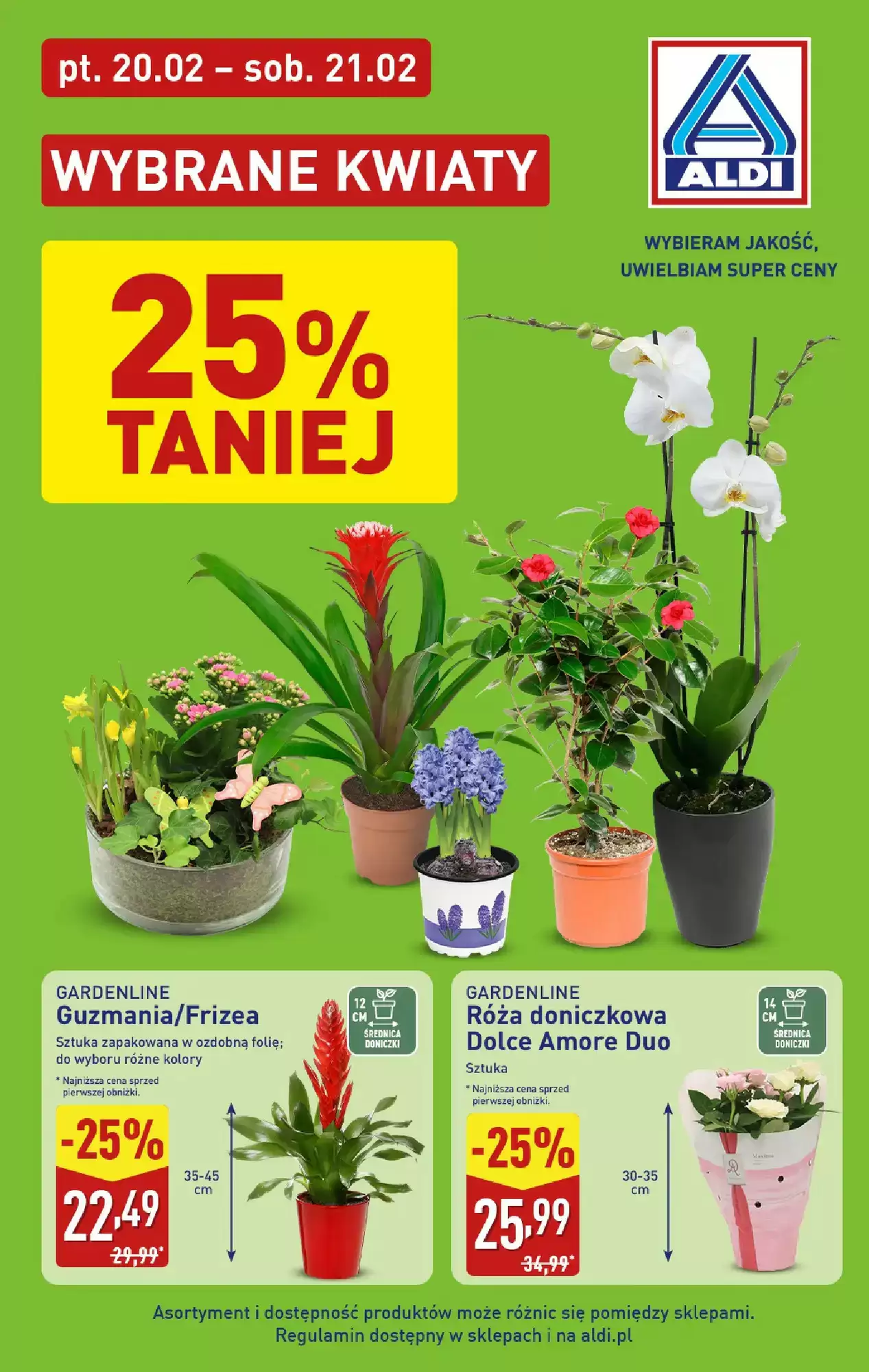 Aldi Gazetka 20.02.2026 - 21.02.2026