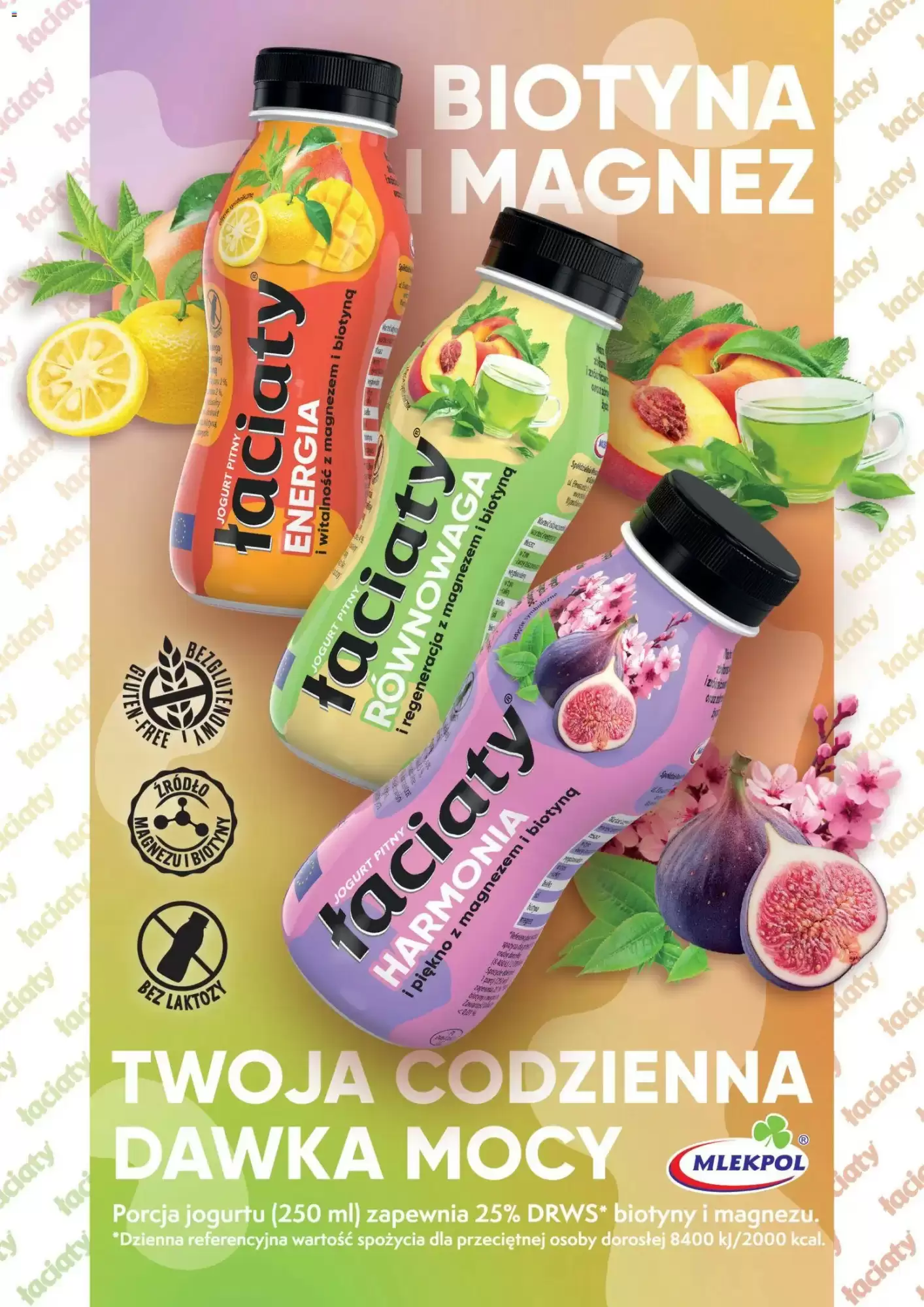 Makro Gazetka 09.02.2026 - 28.02.2026