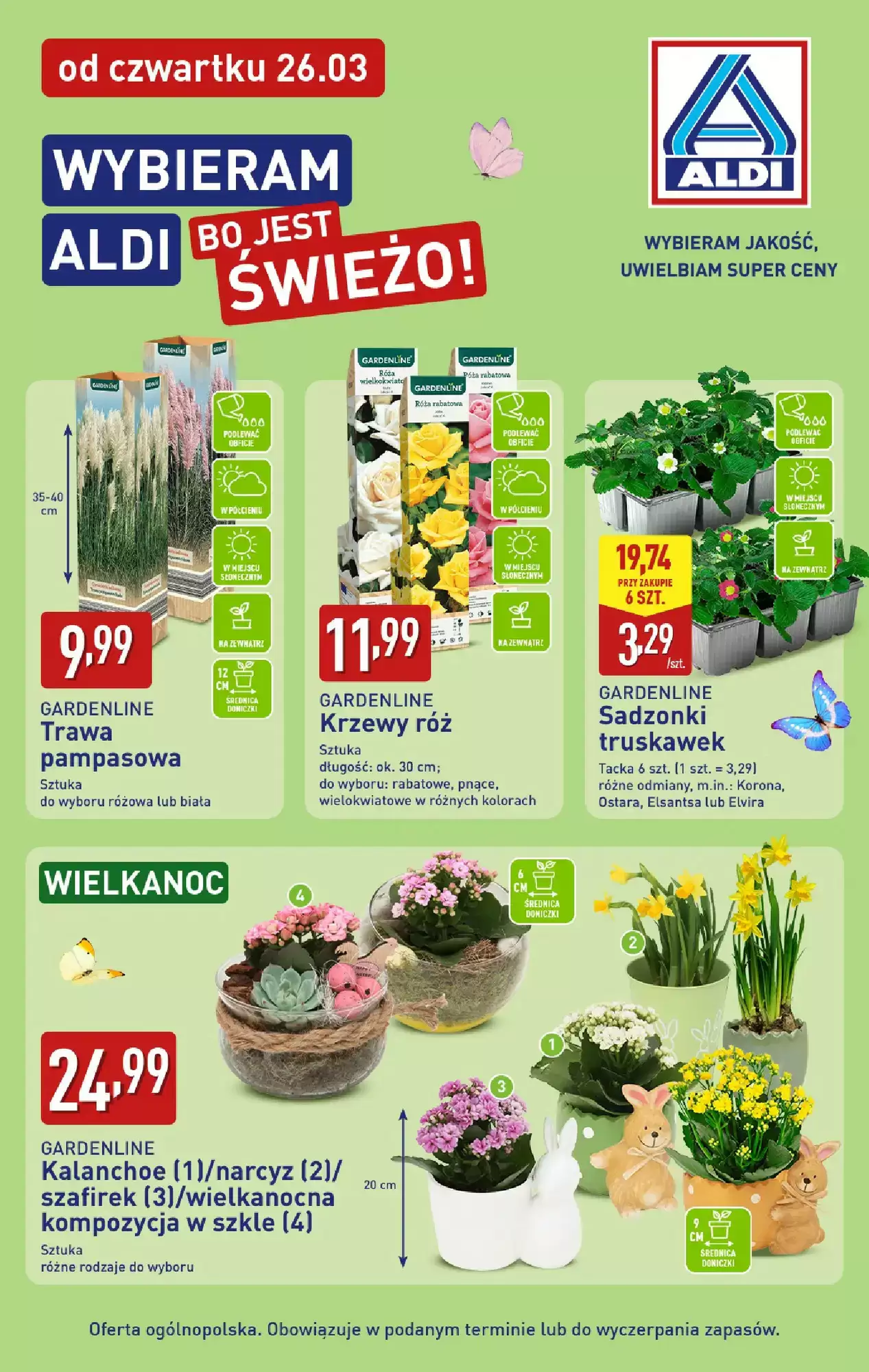 Aldi Gazetka 26.03.2026 - 29.03.2026