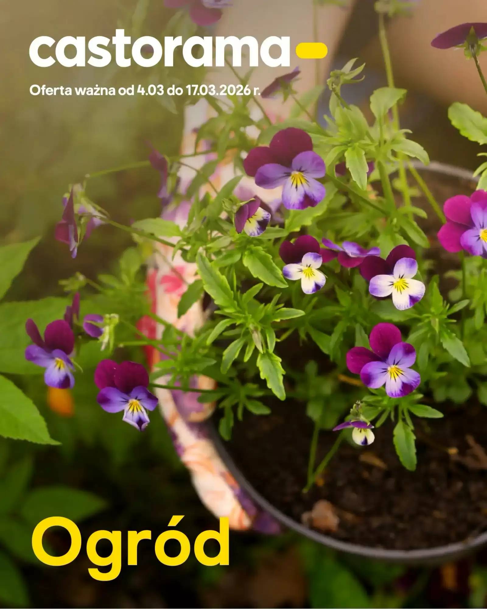 Castorama Gazetka 04.03.2026 - 17.03.2026