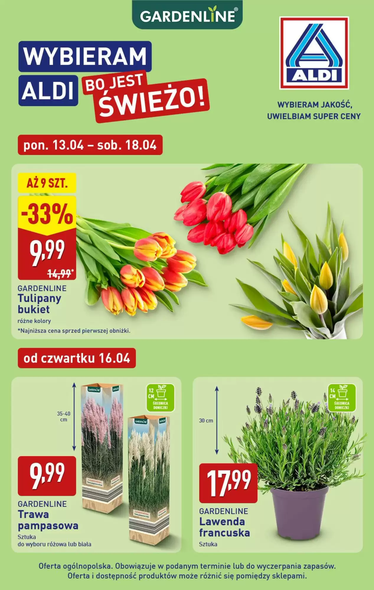 Aldi Gazetka 13.04.2026 - 18.04.2026