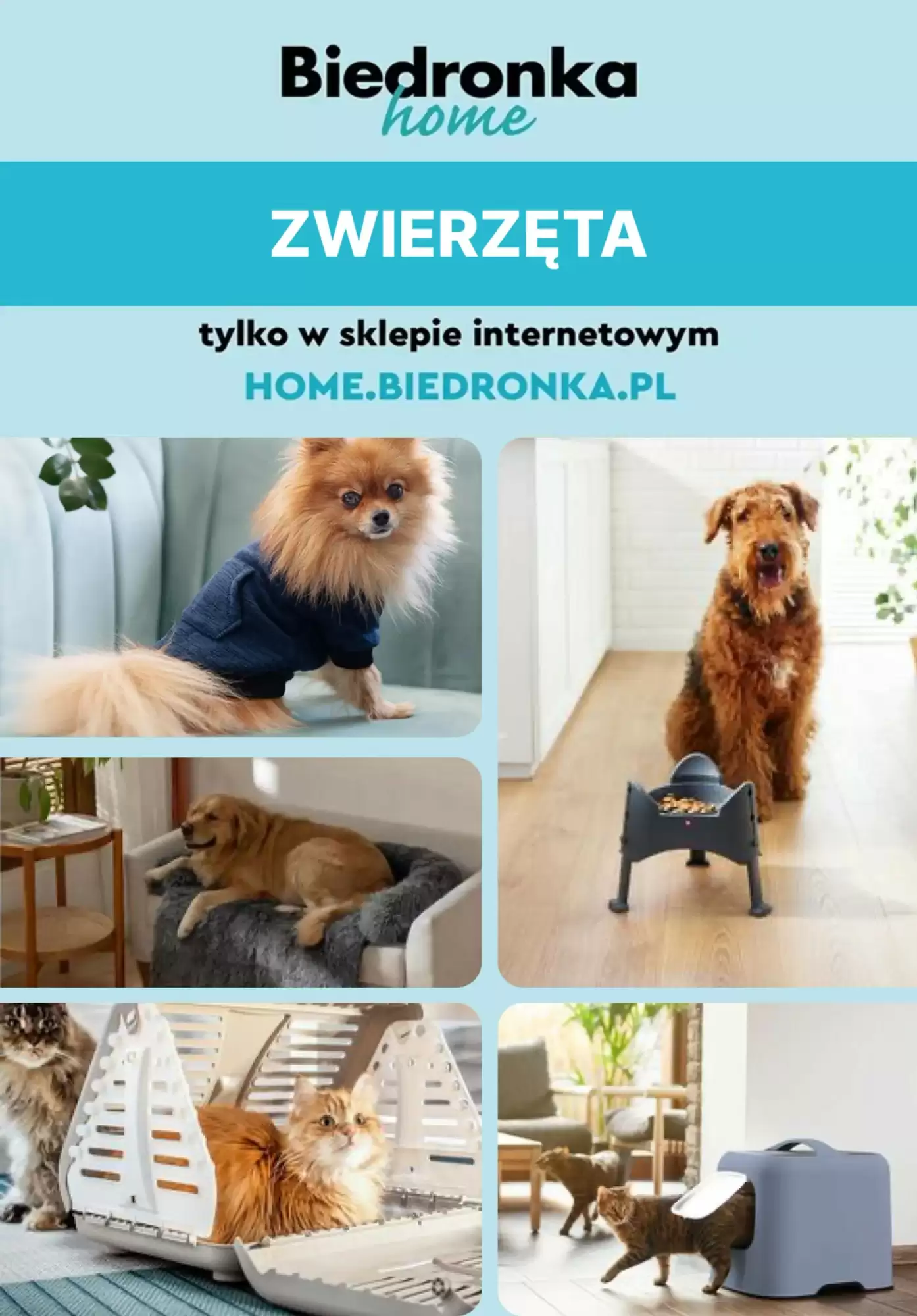 Biedronka Gazetka 16.04.2026 - 30.04.2026