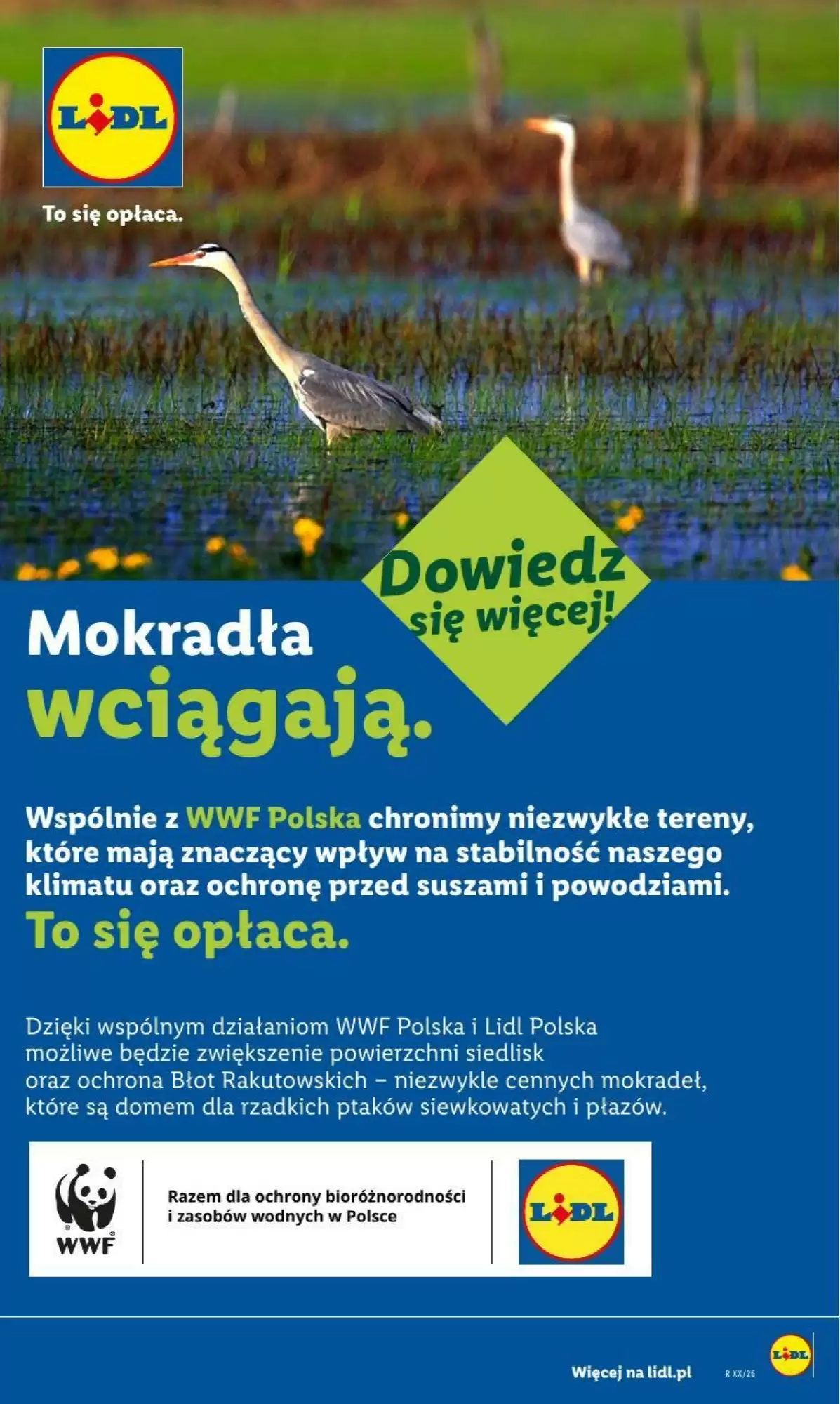 lidl-13072026-021814-55