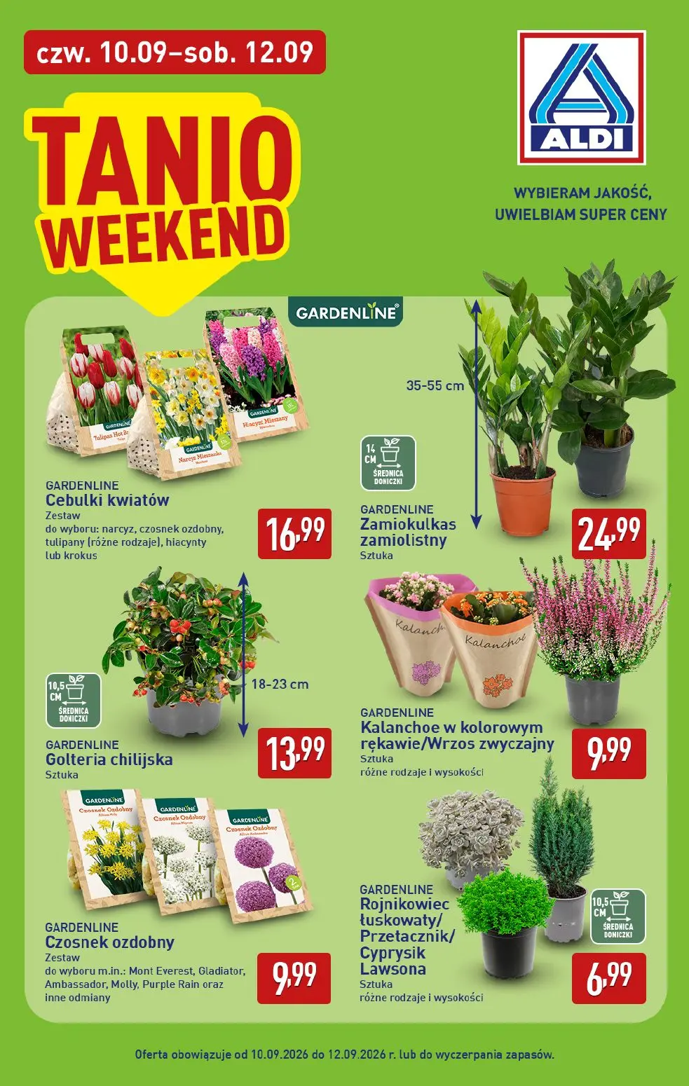 ALDI Gazetka 10.09.2026 - 12.09.2026