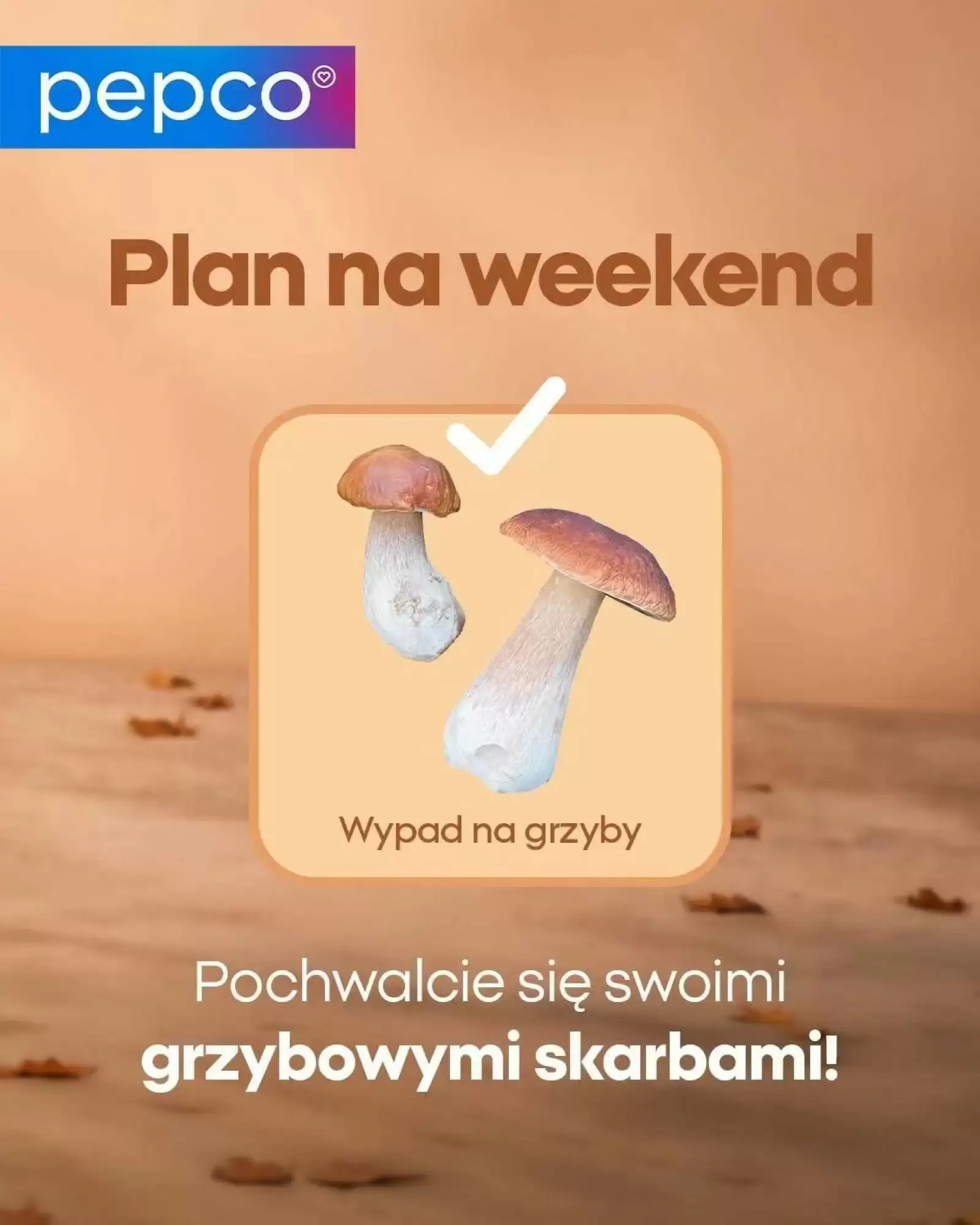 PEPCO Gazetka 24.09.2026 - 08.10.2026