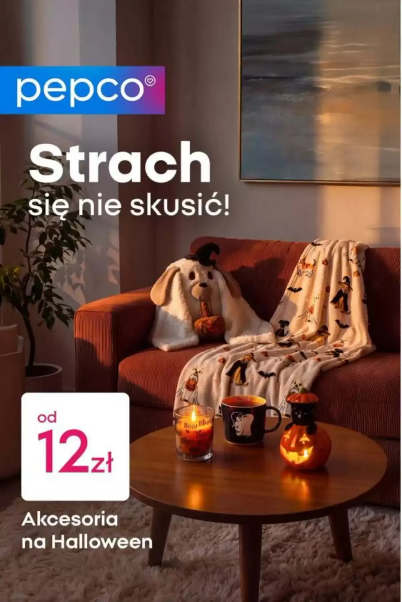 PEPCO Gazetka 25.09.2026 - 09.10.2026